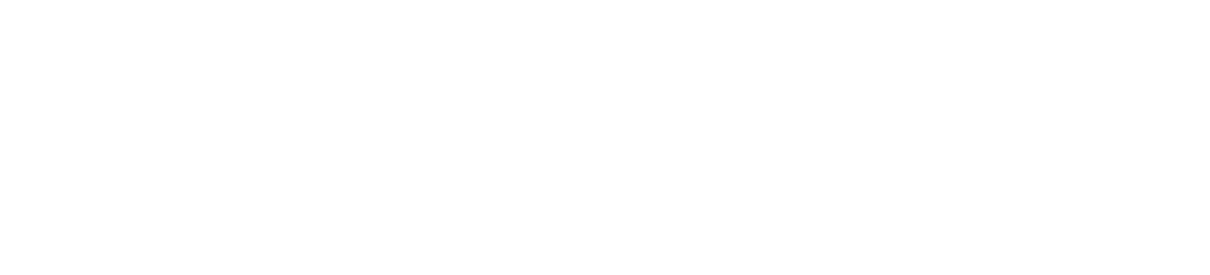 TT Logo white
