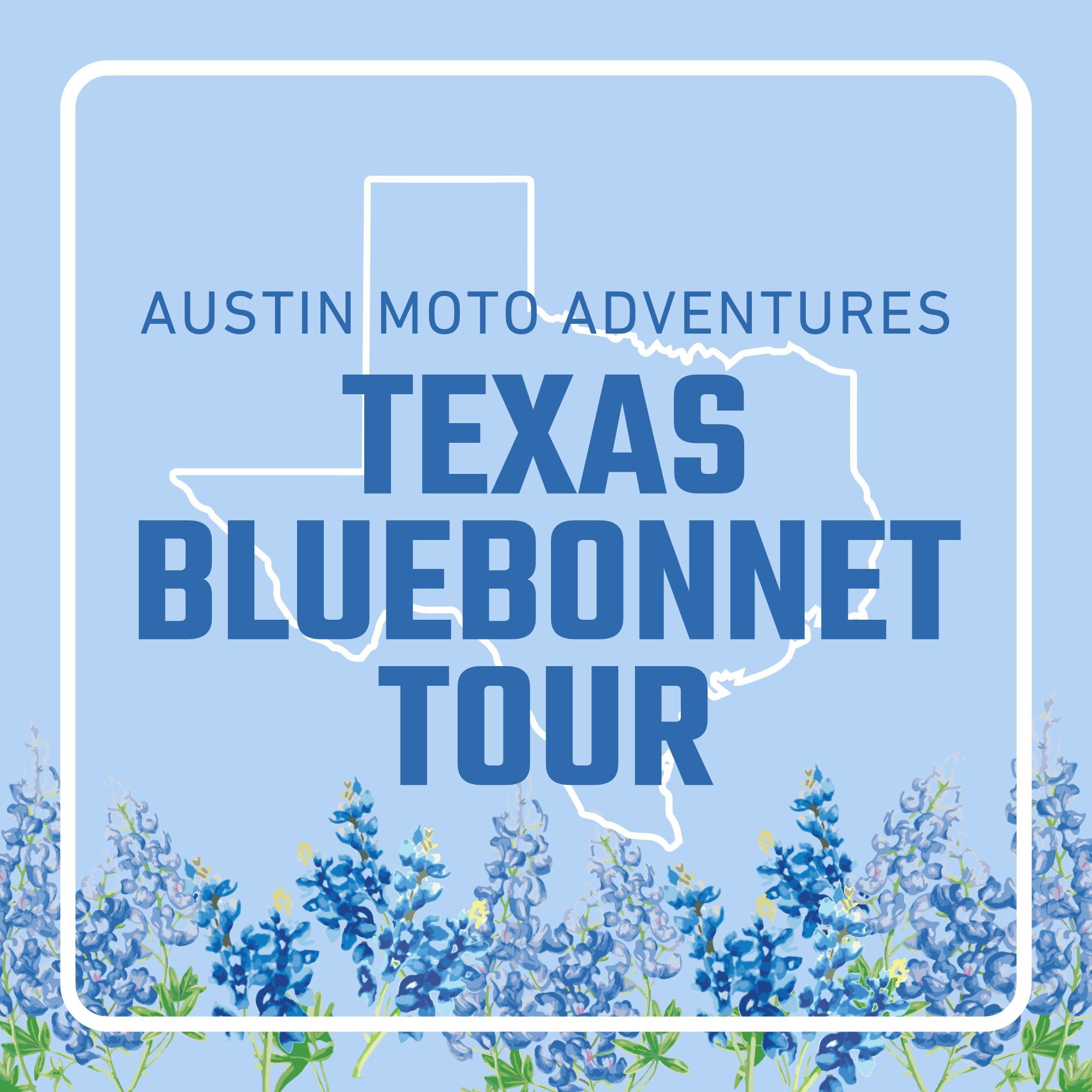 Texas Bluebonnets 2025 Icon Square
